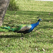 Picture 007
